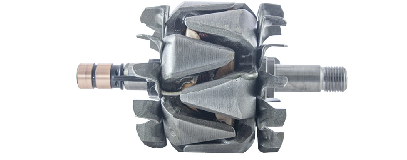 ESRR384